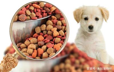 寵物食品公司如何科學(xué)確定寵物們的口味偏好