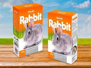 從功能到情感 現(xiàn)代寵物食品包裝設(shè)計(jì)的美學(xué)與巧思