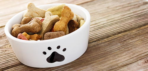 為愛(ài)寵保駕護(hù)航 全面解讀寵物食品檢驗(yàn)測(cè)試服務(wù)