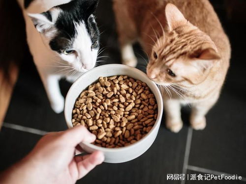 未來(lái)五年寵物食品包裝市場(chǎng) 年復(fù)合增長(zhǎng)率6.79%背后的機(jī)遇與挑戰(zhàn)