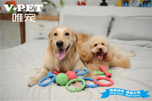 廣州寵物食品進(jìn)口操作流程與手續(xù)全解析